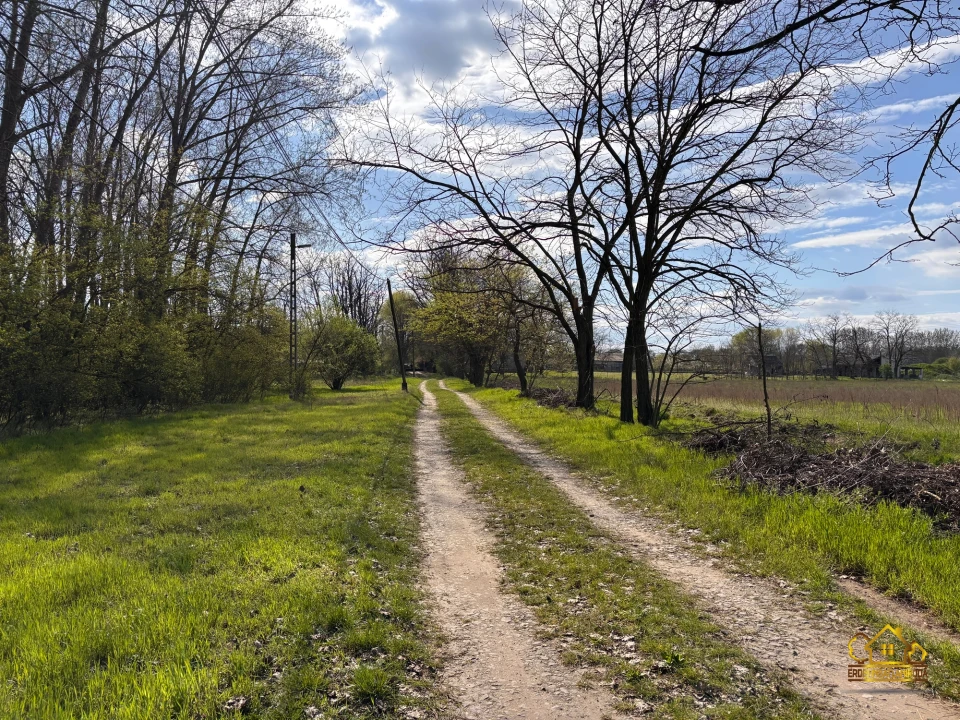 Eladó szántóföld, legelő, Bugyi