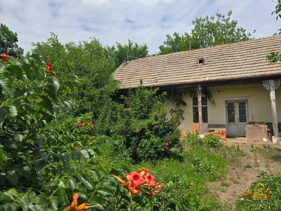 Eladó családi ház, Kiskunlacháza
