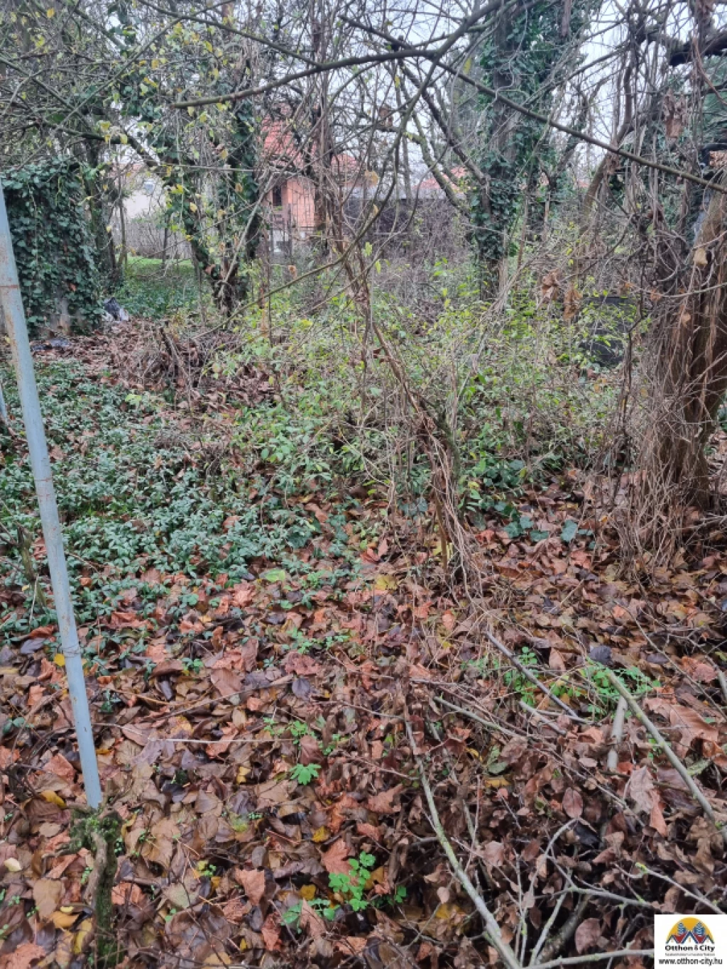 Eladó üdülőtelek, Szigethalom