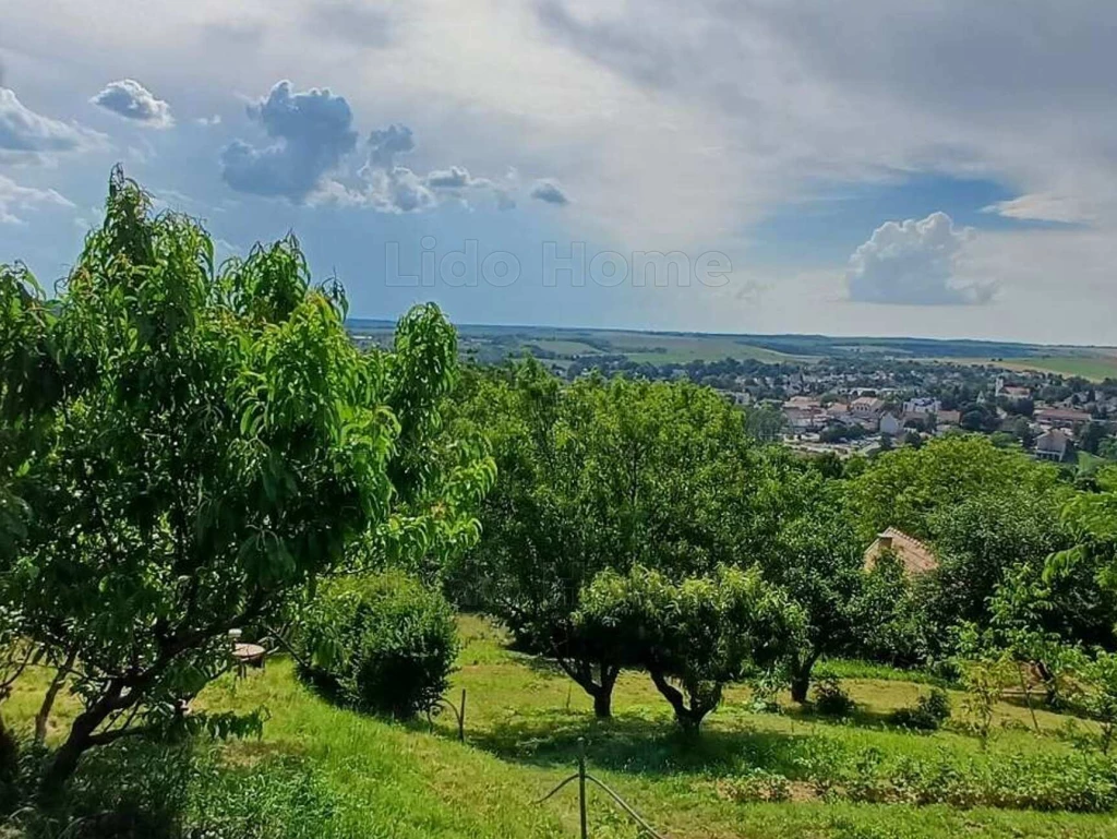 50 m2-es lakhatóvá bővített présház + 3650m2 szőlő, gyümölcsös, fenyves, csodálatos panorámával Tabon eladó!