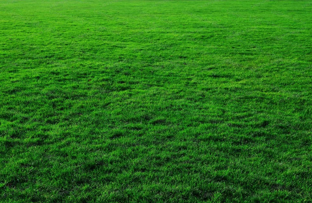 For sale plough-land, pasture, Siófok