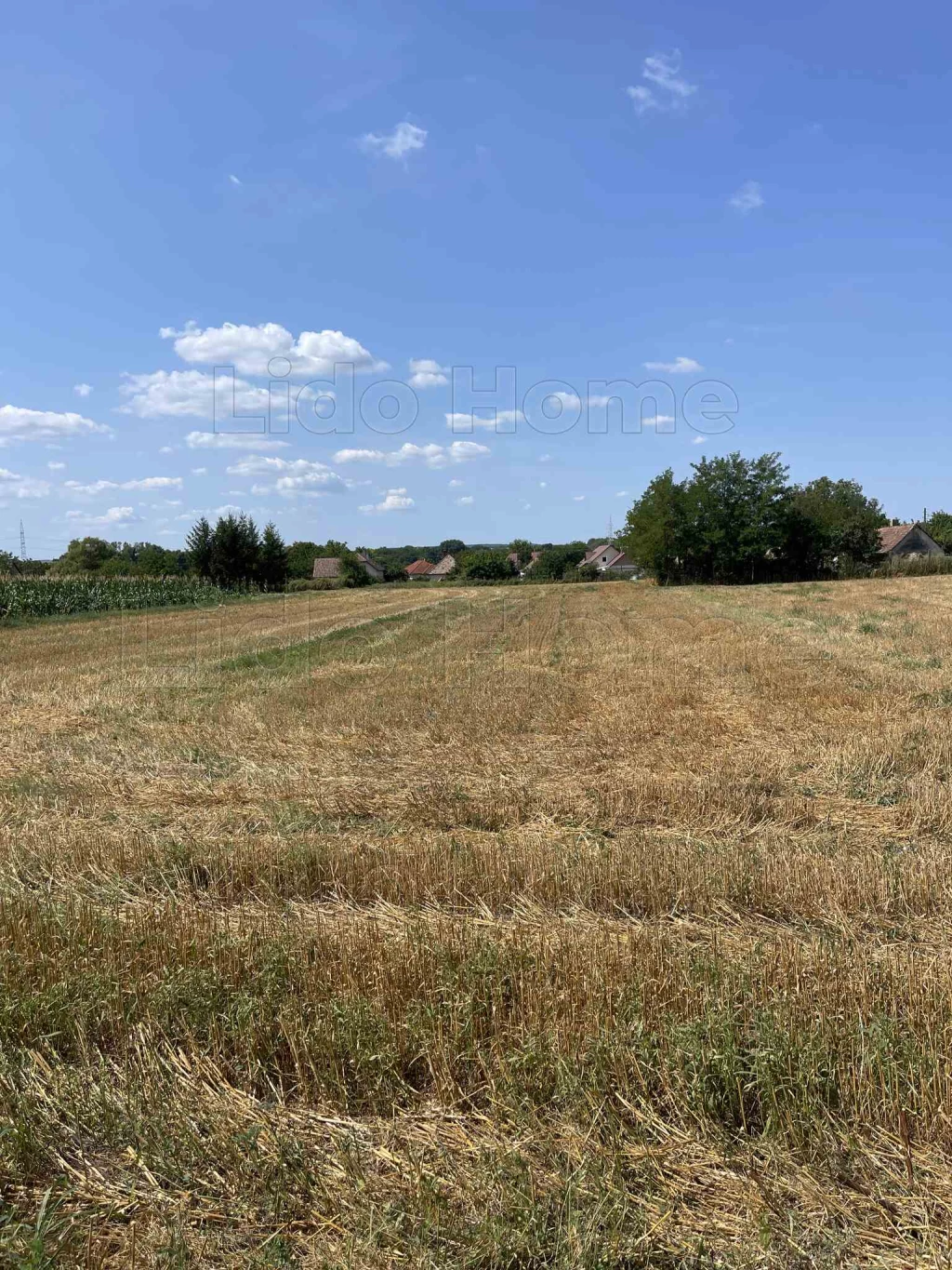 Balatonszabadi Zártkert Eladó