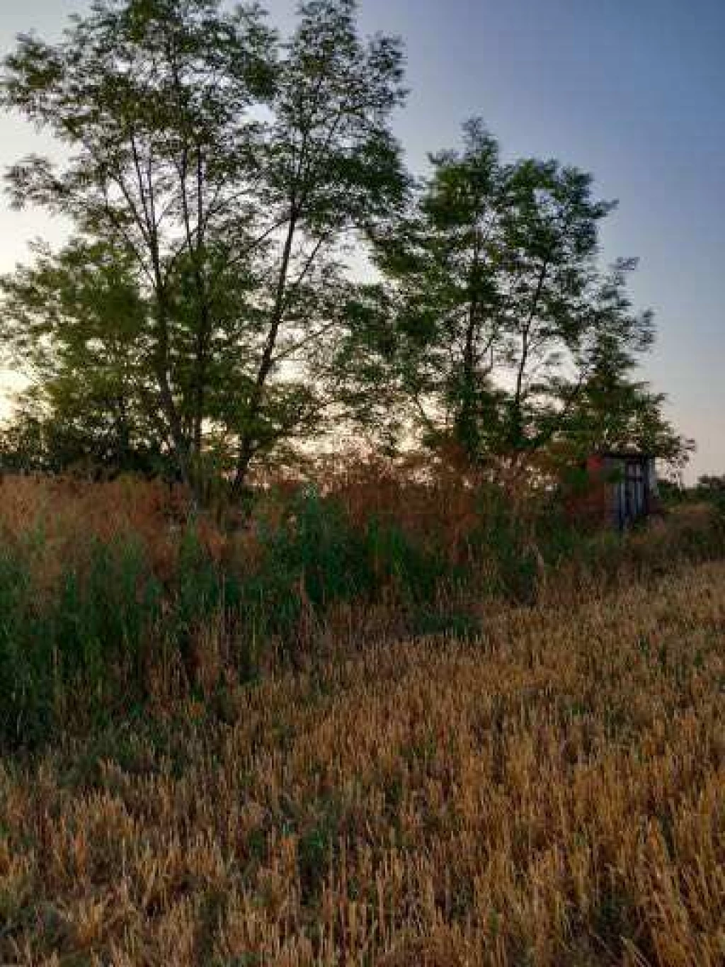 For sale plough-land, pasture, Balatonszabadi