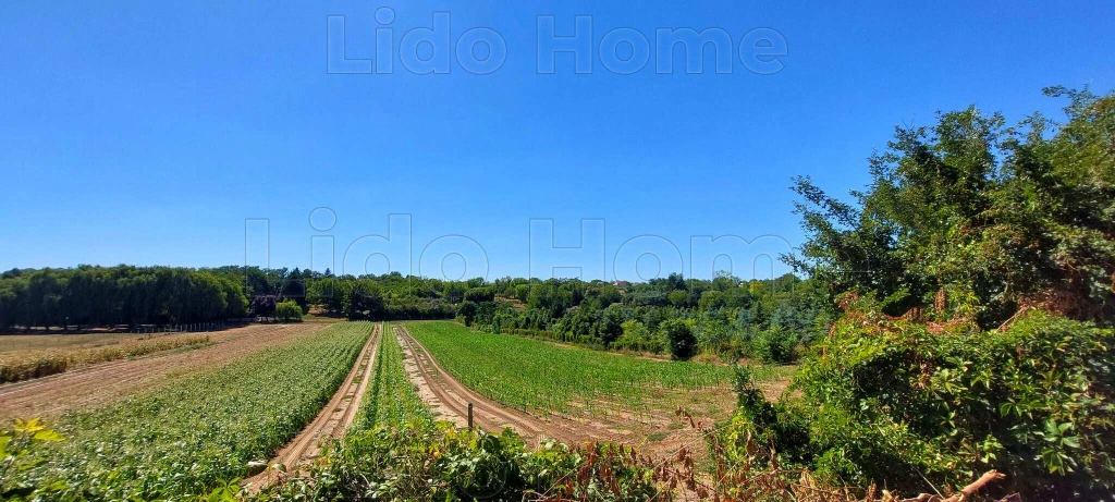 For sale building plot, Balatonszárszó