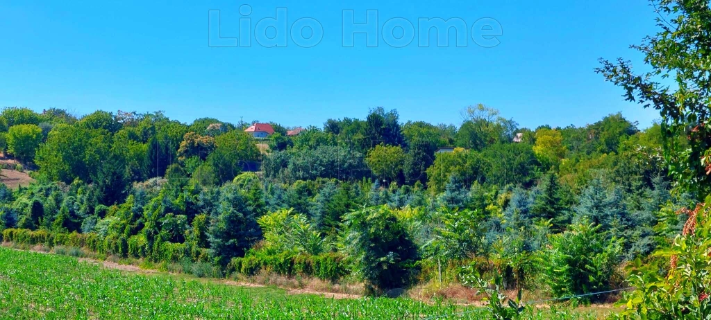 For sale building plot, Balatonszárszó