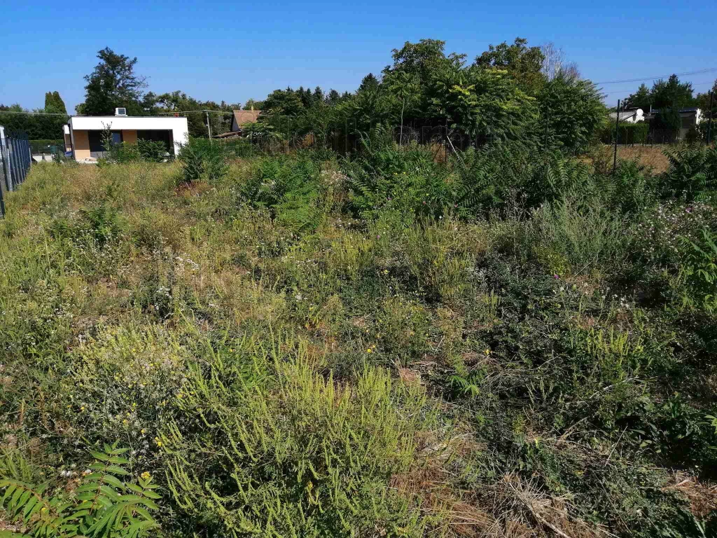 For sale building plot, Siófok