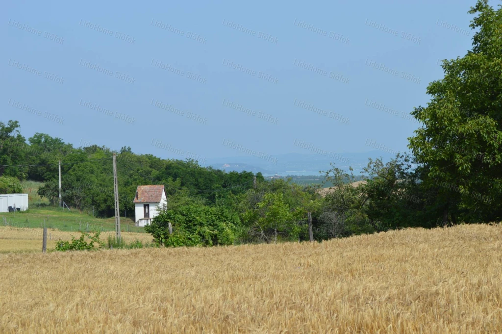 Zártkert Balatonendréden!