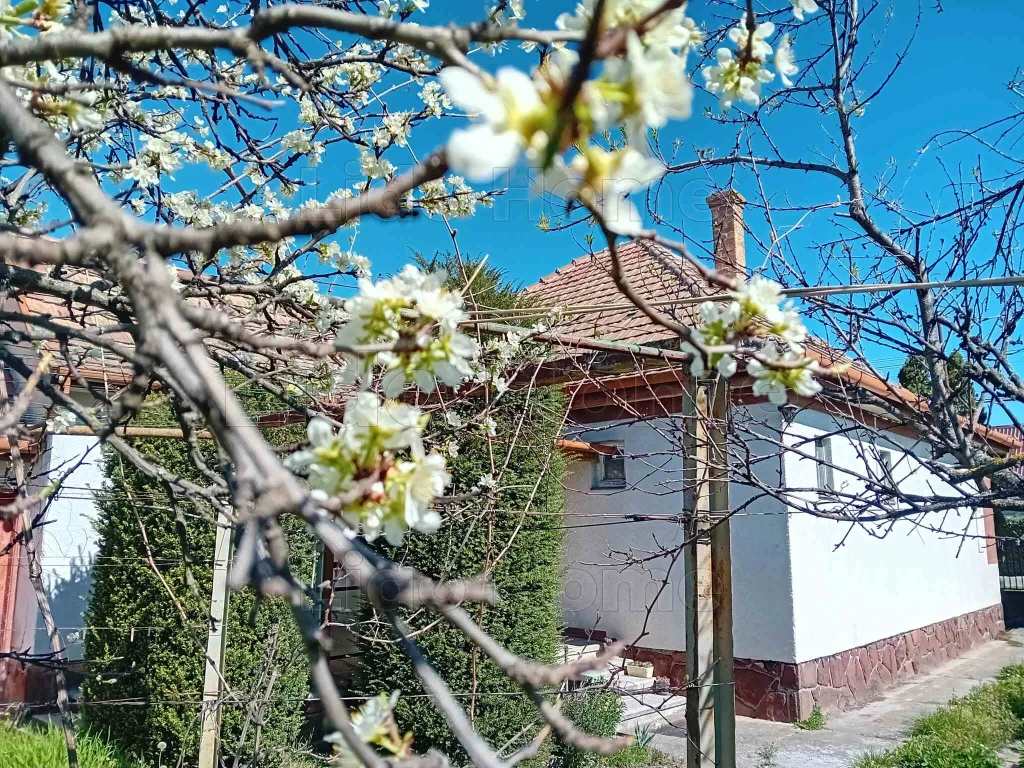 c3-1-name c2-1-name, Siófok