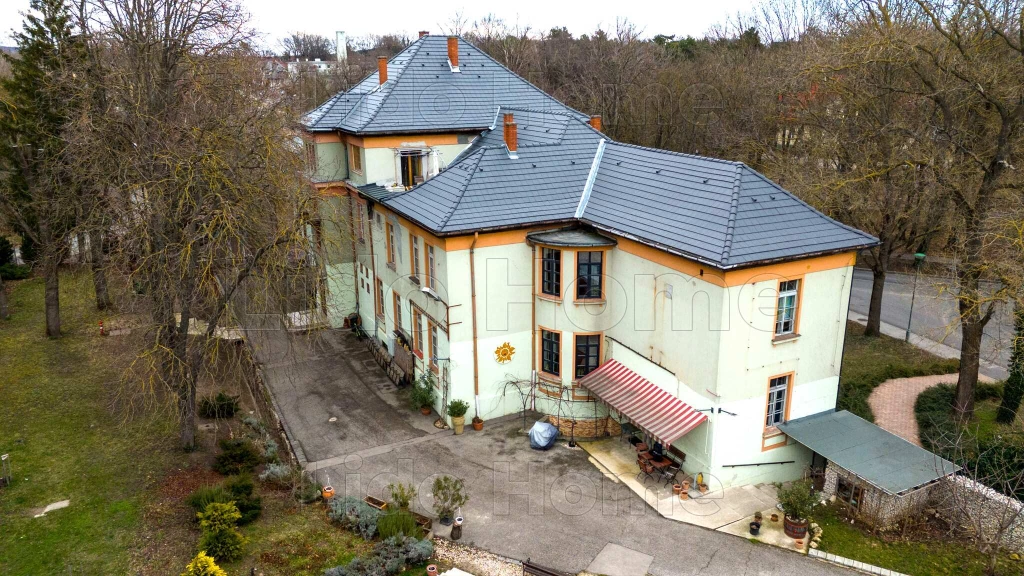 Balatonfűzfőn kastély villa épület üzlethelység 4 szintes 20 szoba felújított