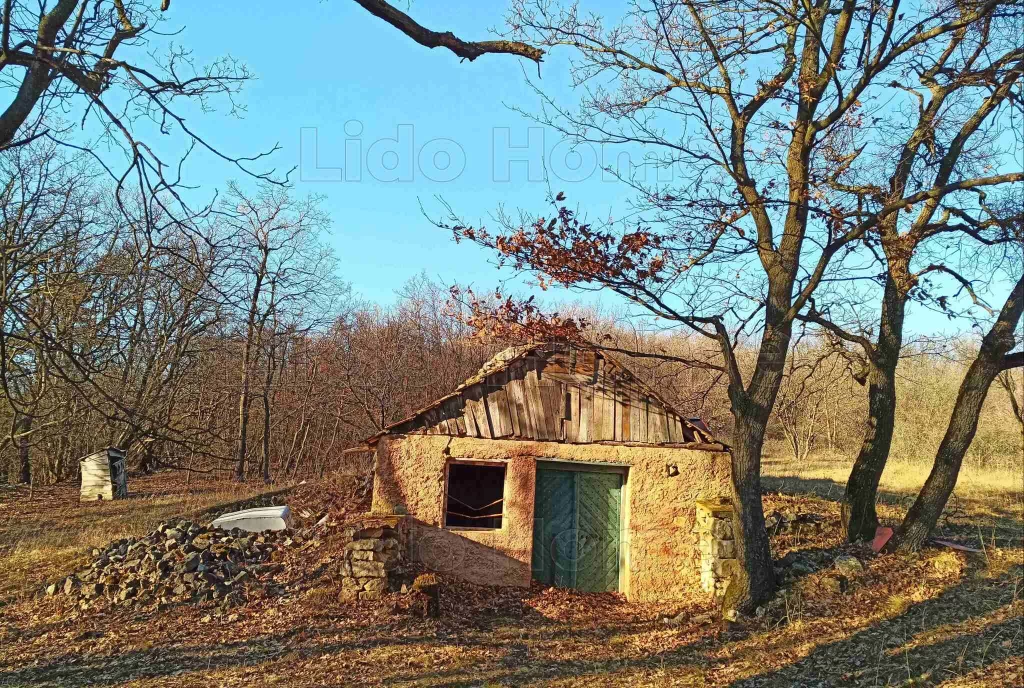 ELKÜLÖNÜLVE, DE NEM VILÁGTÓL ELZÁRVA VÁSZOLYON!