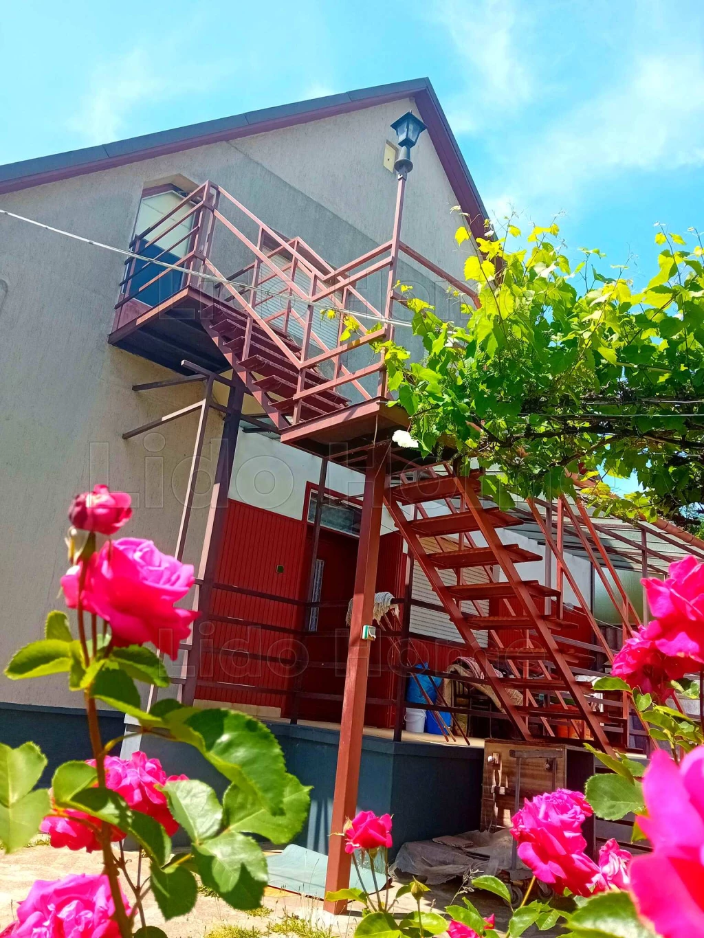 c3-1-name c2-1-name, Siófok