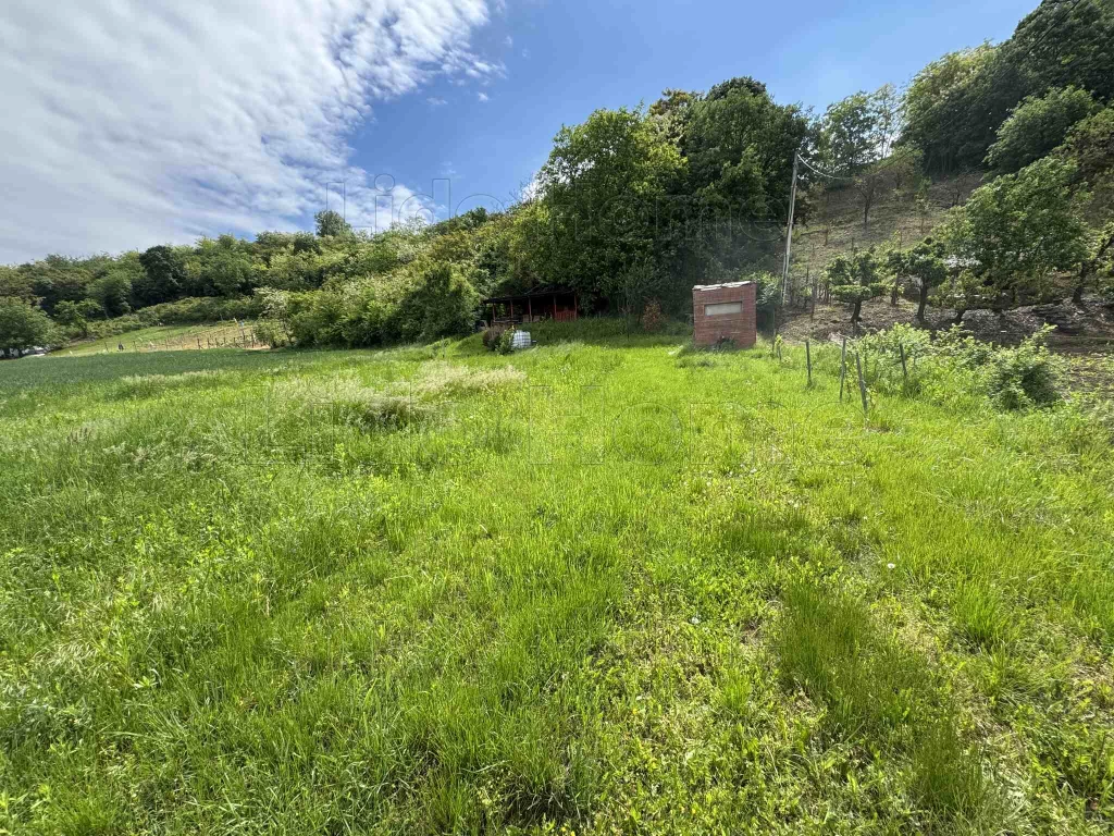 Balatonendréd zártkert eladó