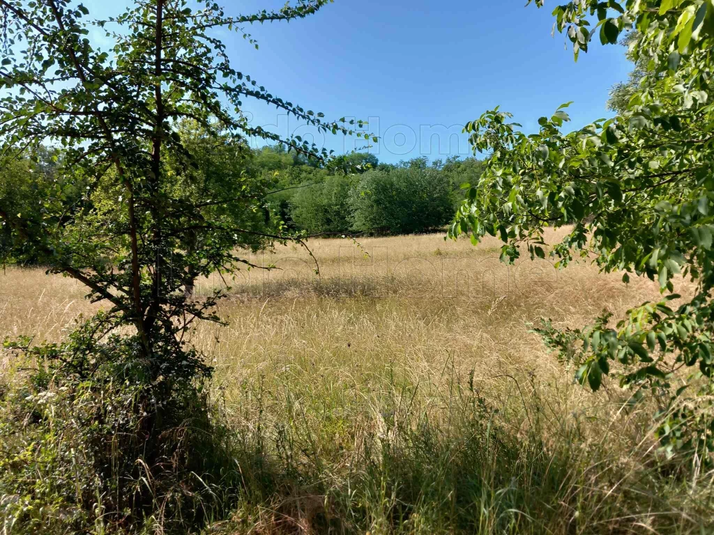 c3-1-name c2-57-name, Siófok