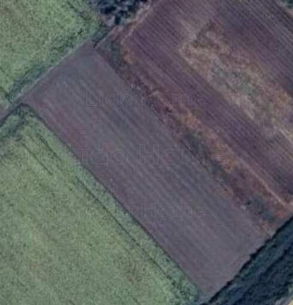 Eladó szántó Balatonvilágoson