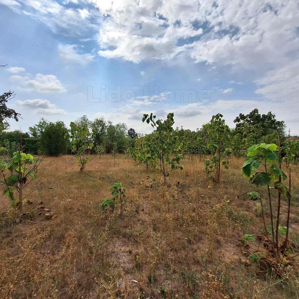 ÉPÍTÉSI TELEK ELADÓ Mezőkomárom csendes övezetében, számtalan befektetési lehetőséggel!