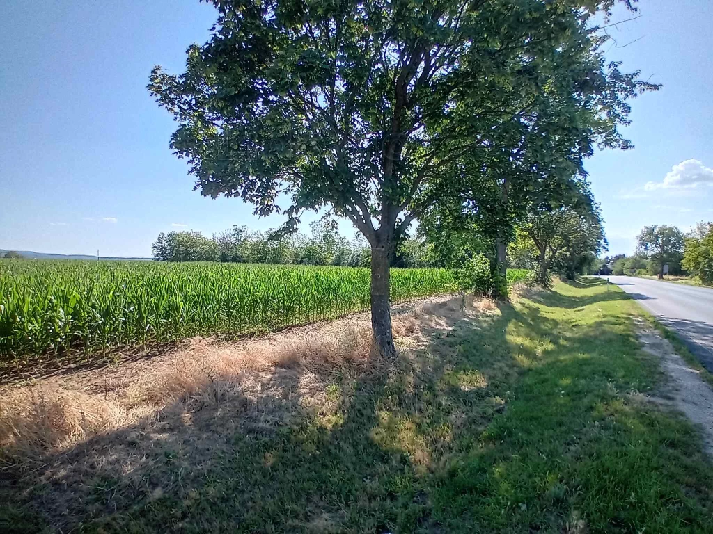 Balatonszárszói ipari terület