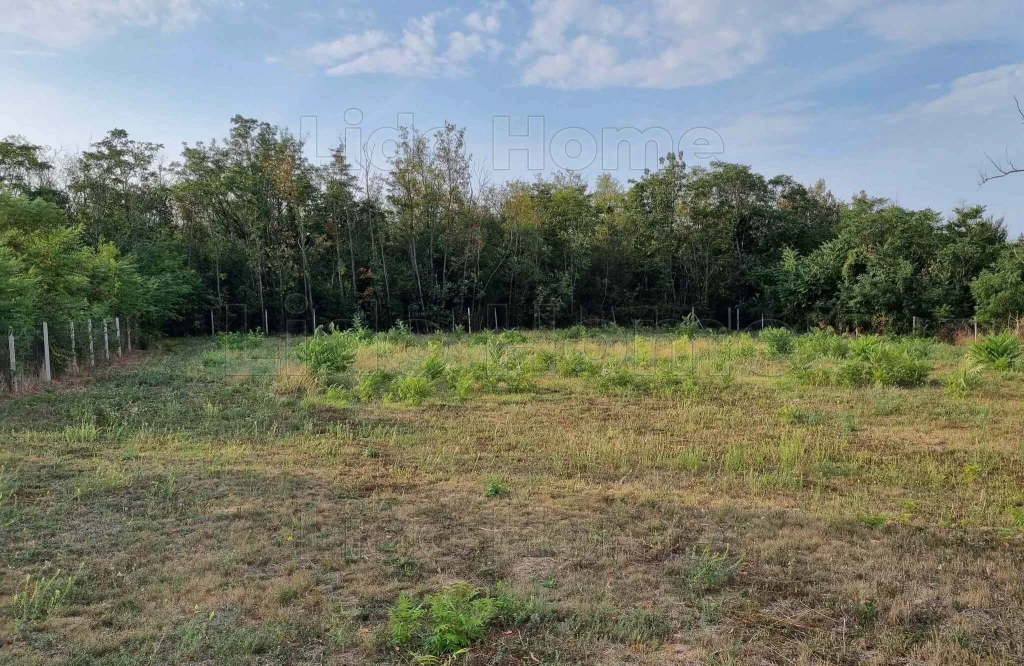 For sale building plot, Balatonszárszó