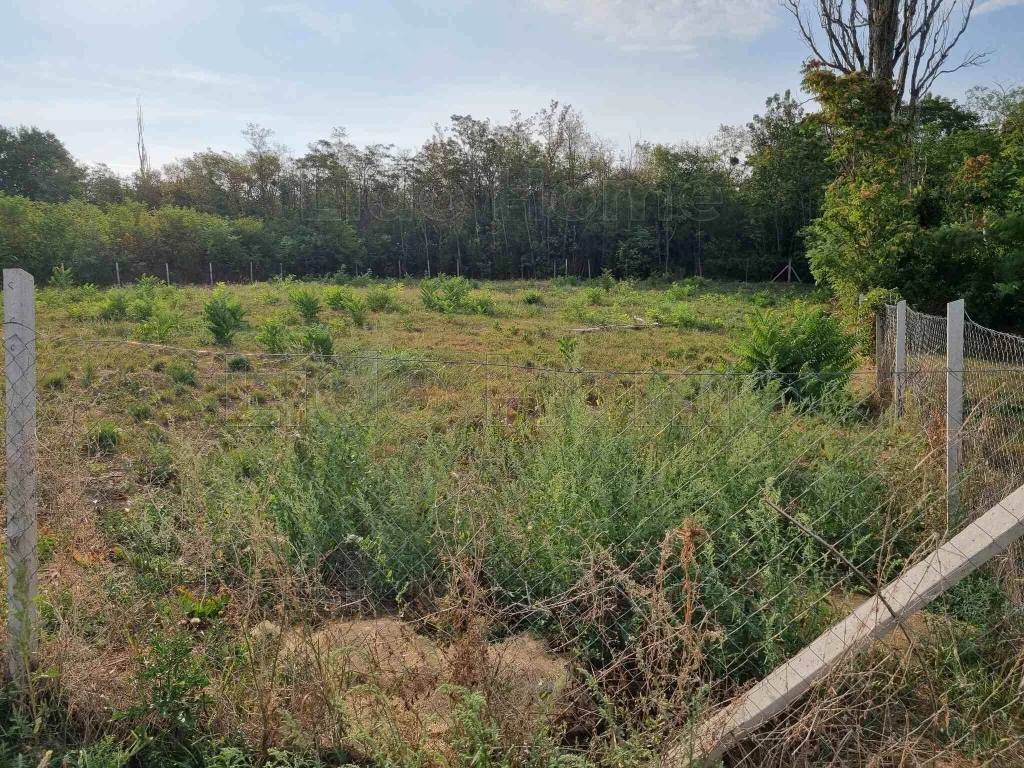 For sale building plot, Balatonszárszó