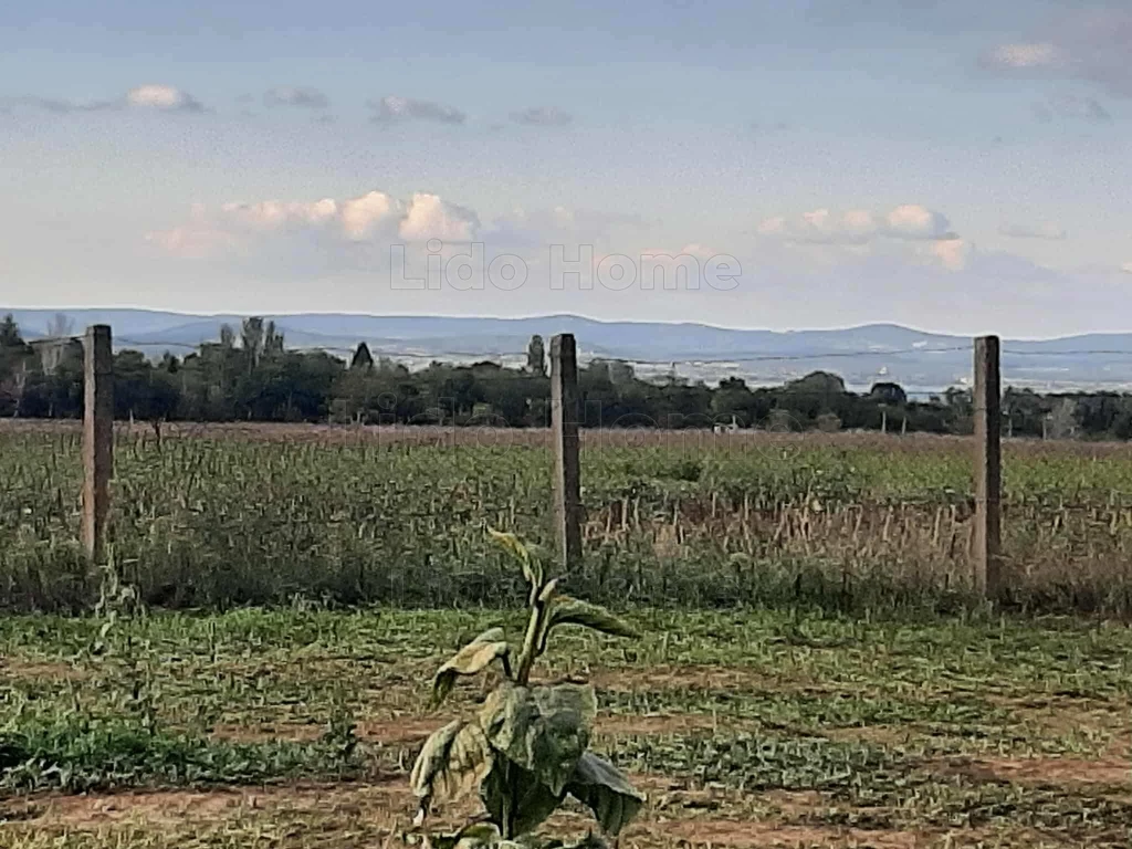 Balatonszárszói zártkerti ingatlan