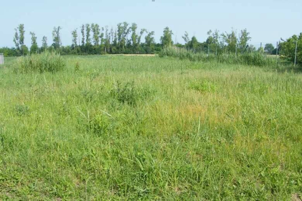 Eladó építési telek Balatonszabadiban