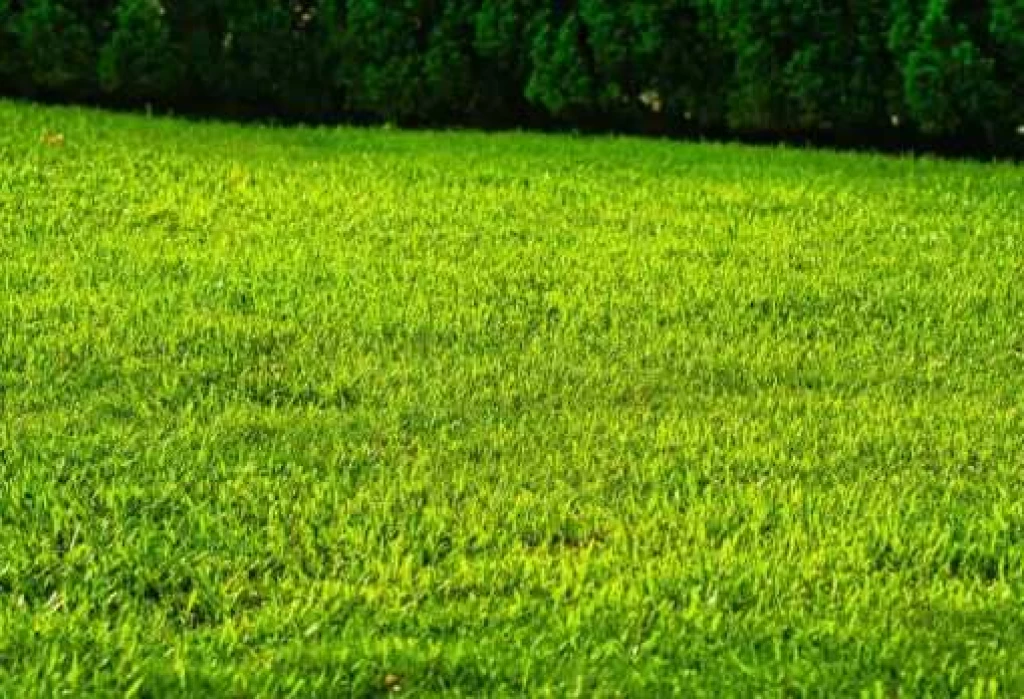 Siófok, Sóstón vízközeli építési telek eladó!