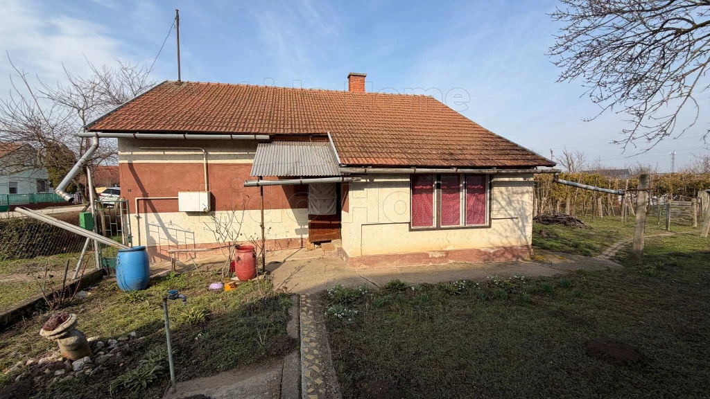 TERMÉSZETKÖZELI CSALÁDI HÁZ BALATONVILÁGOSON