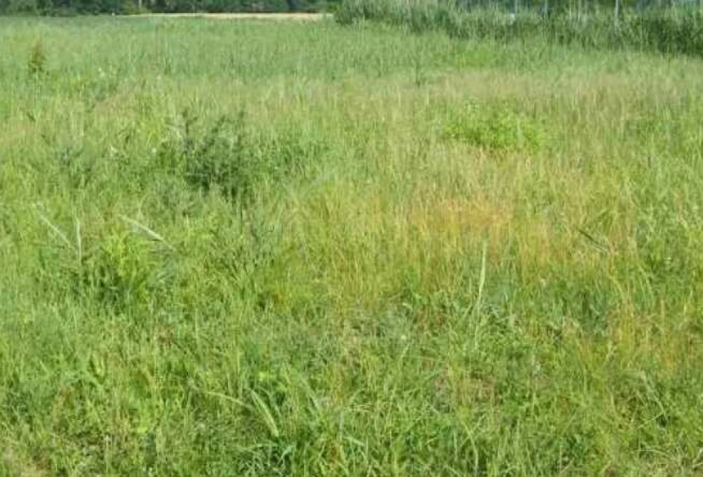 Kertkapcsolatos új lakás Siófok-Kilitiben