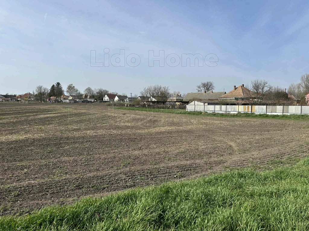 Lepsényben építési telek eladó!