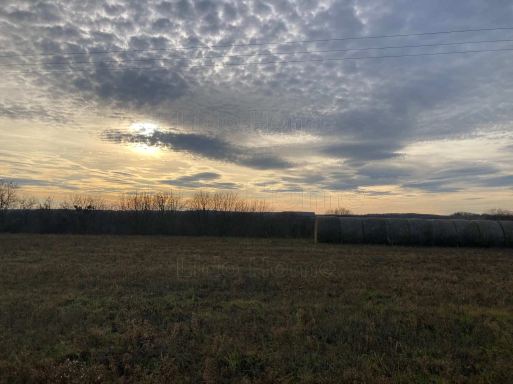 Bálványoson eladó telkek nagy területen