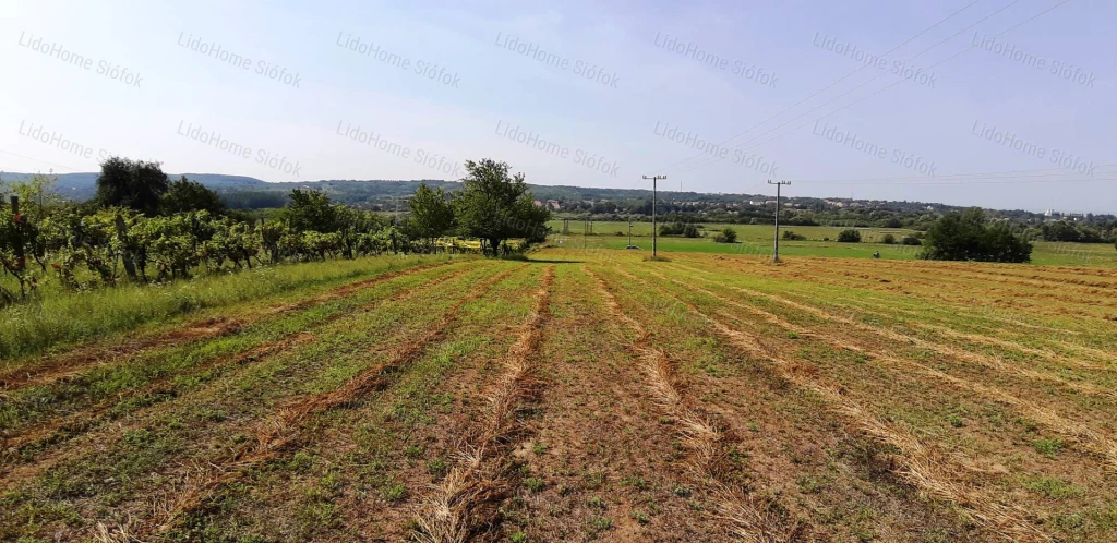 Kőröshegyi építési telek eladó!