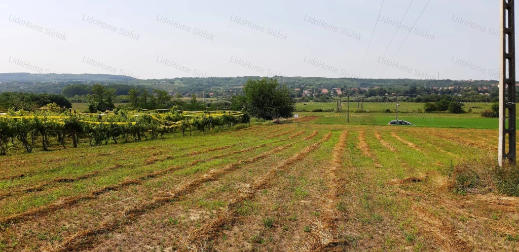 c3-1-name c2-57-name, Kőröshegy