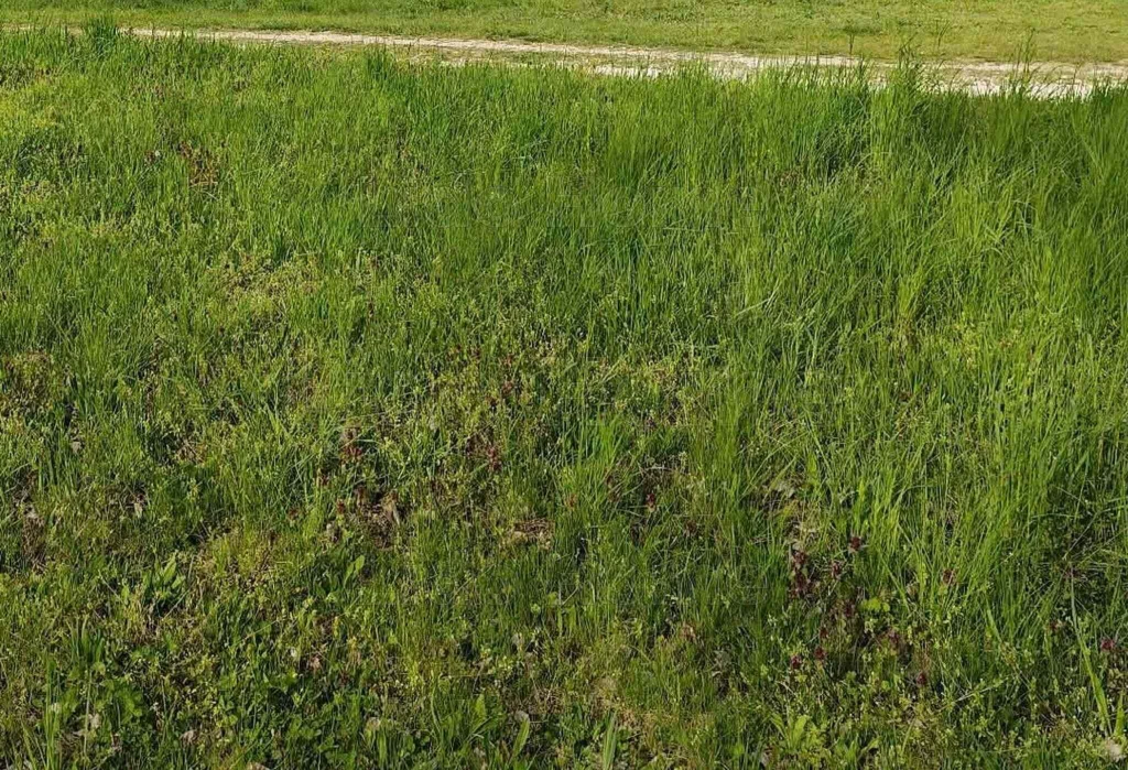 c3-1-name c2-50-name, Balatonszárszó