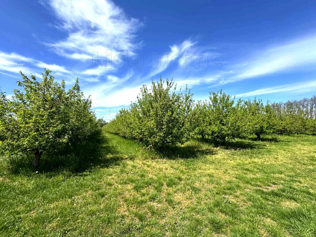 c3-1-name c2-58-name, Siófok