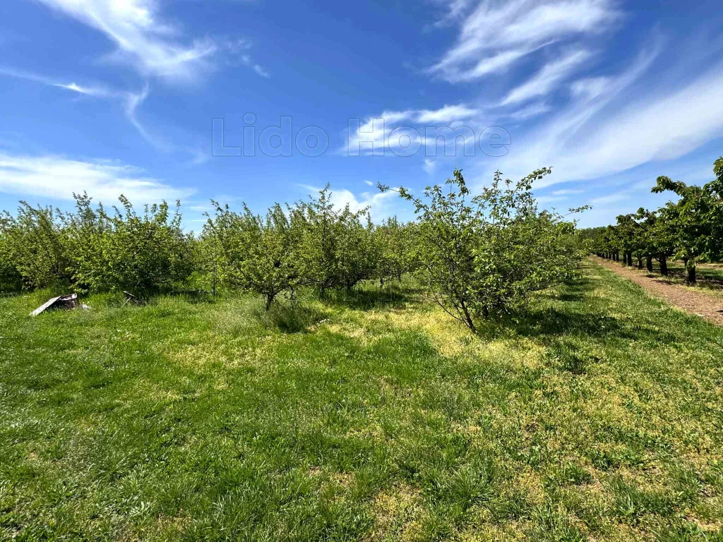 c3-1-name c2-58-name, Siófok