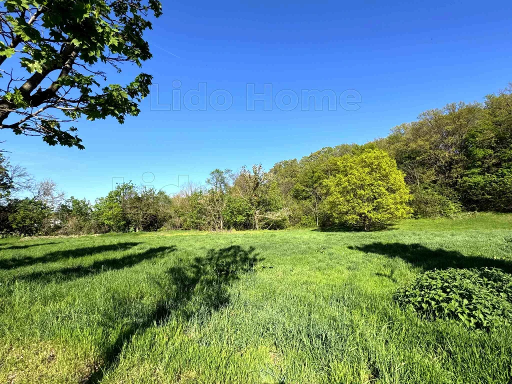 ELADÓ FEJLESZTÉSI TELEK BALATONFÖLDVÁRON – 3 723 m²