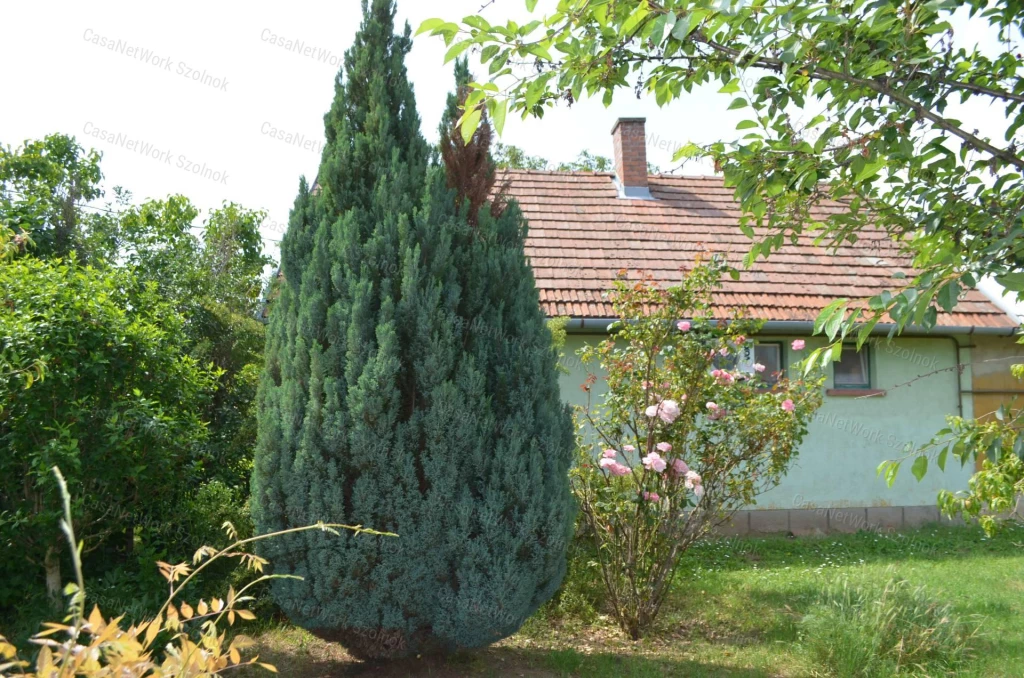 For sale house, Szolnok, Szandaszőlős