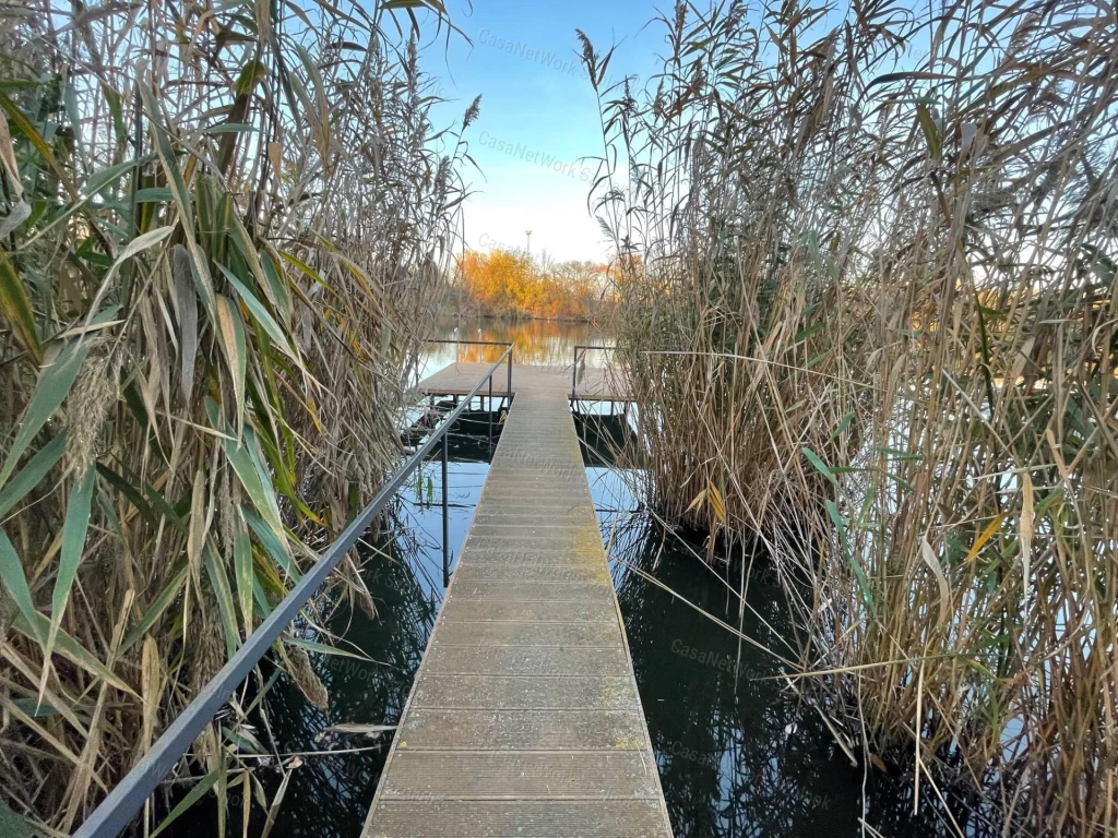 Szolnokon a Strand úton közvetlen vízparti nyaraló eladó.