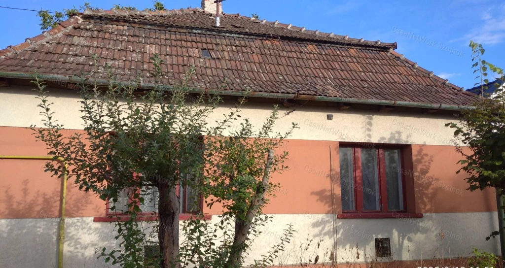 c3-1-name c2-1-name, Szolnok