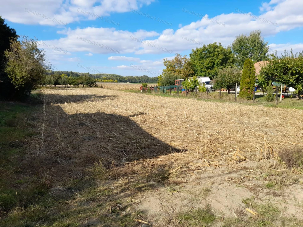 Szajolban építési telek eladó!