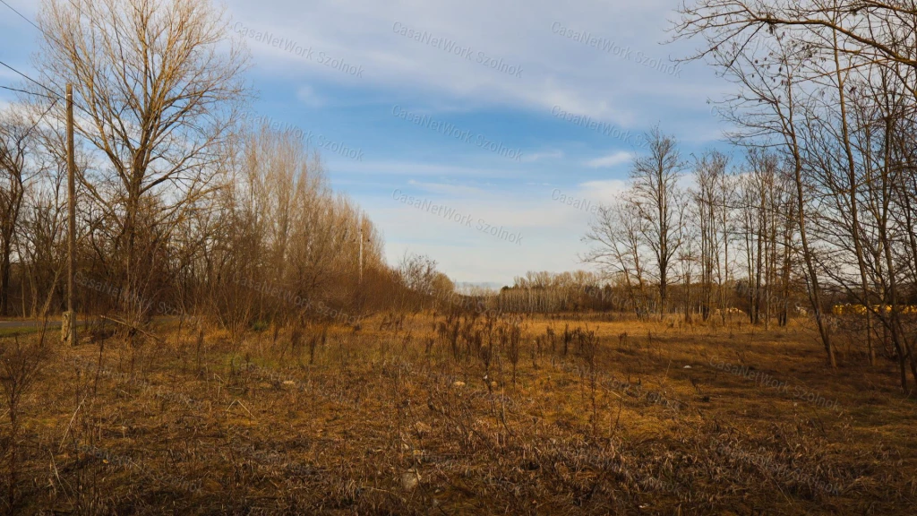 Eladó zöldterület, Tápiószentmárton