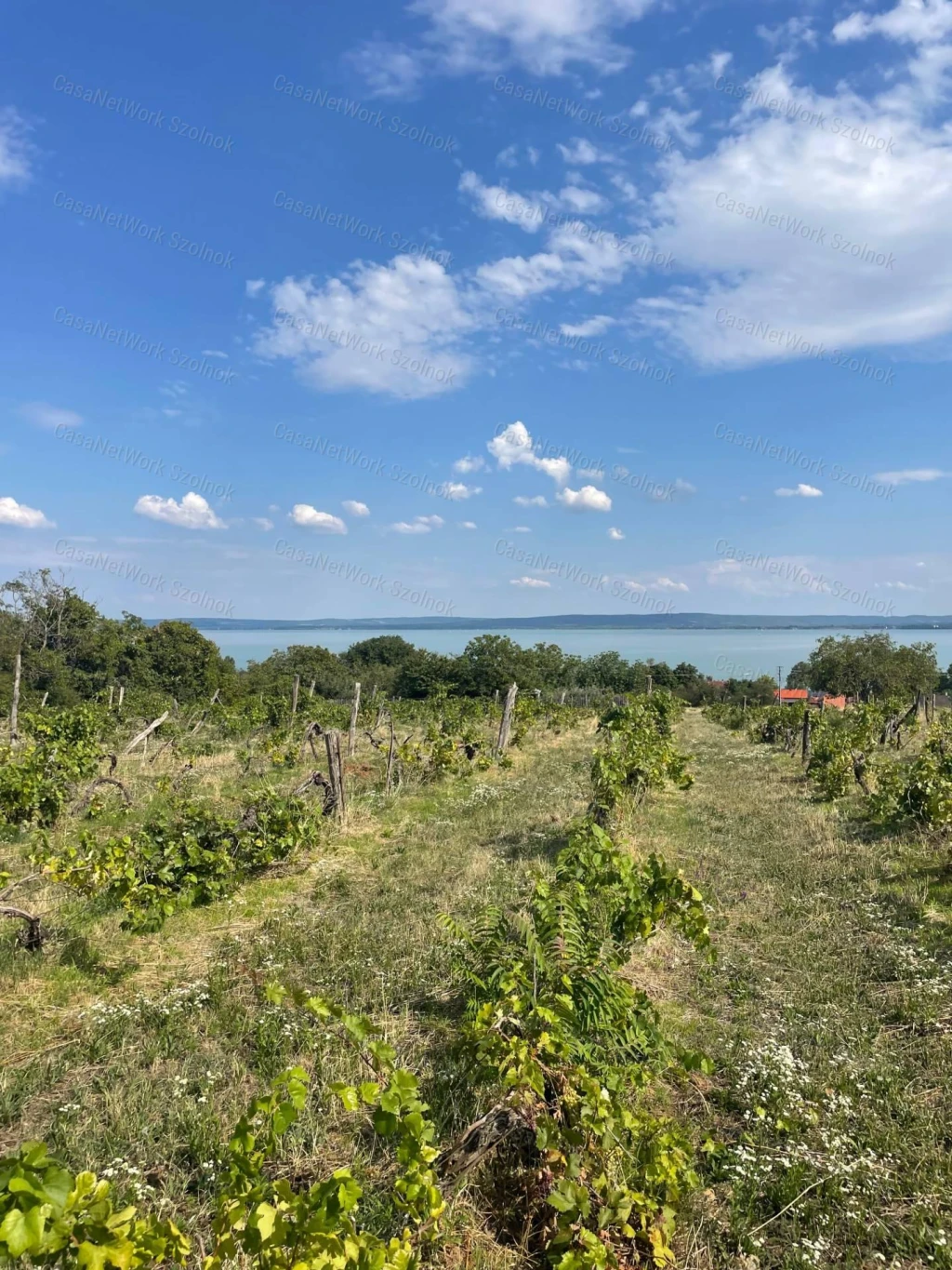 c3-1-name c2-50-name, Balatonszepezd