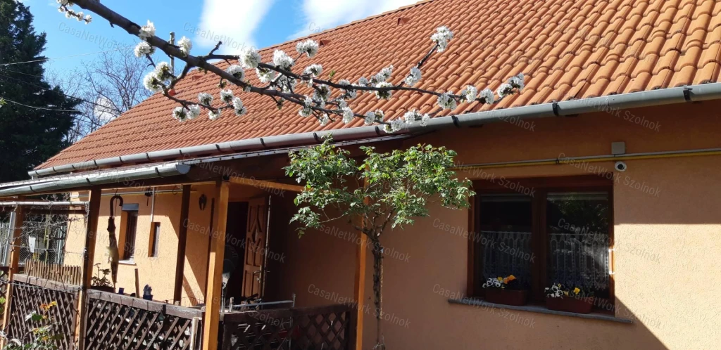 c3-1-name c2-1-name, Szolnok