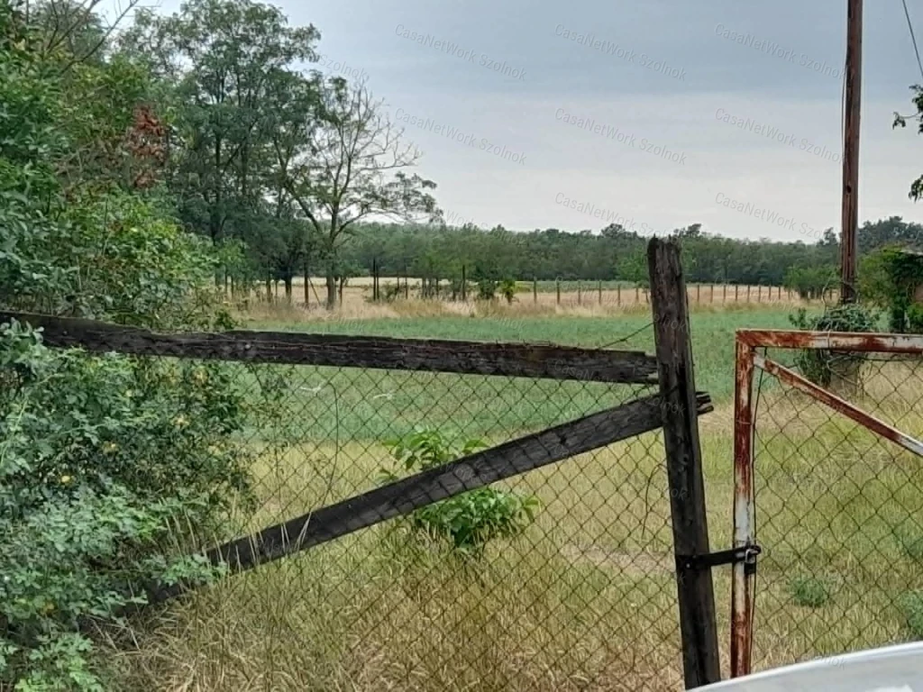 c3-1-name c2-50-name, Szolnok, Szandaszőlős