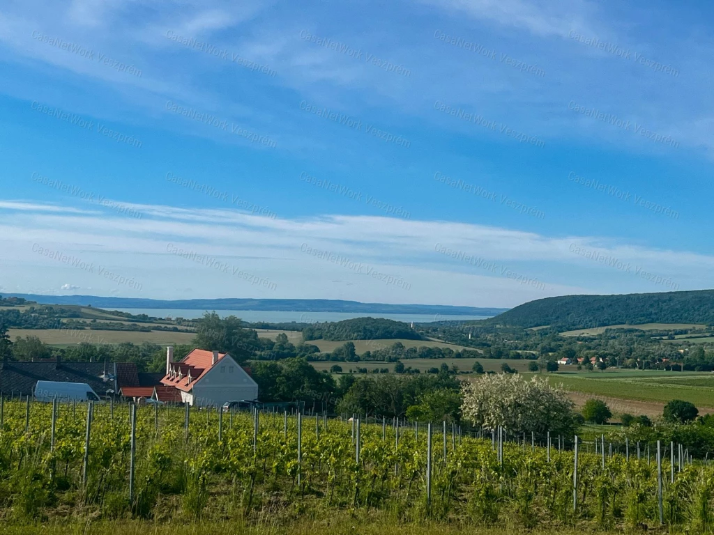 Eladó telek Szentjakabfán