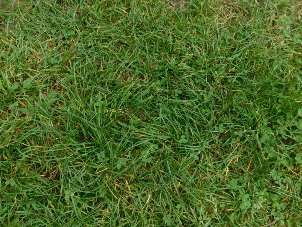 ELADÓ KÜLTERÜLET FONYÓDON!