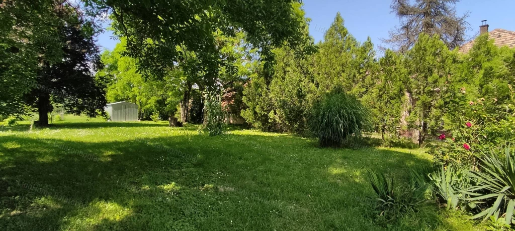 ELADÓ KÉTHELYI PARKOS ÉPÍTÉSI TELEK