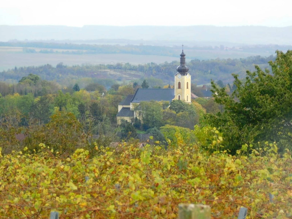 c3-1-name c2-63-name, Karád