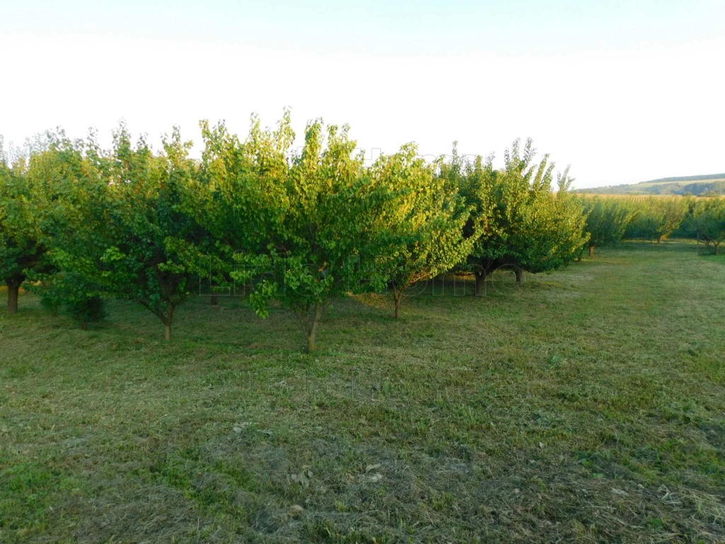 For sale building plot, Karád