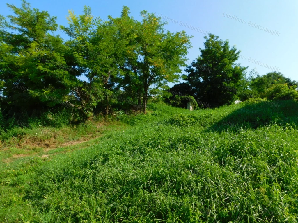 c3-1-name c2-50-name, Karád