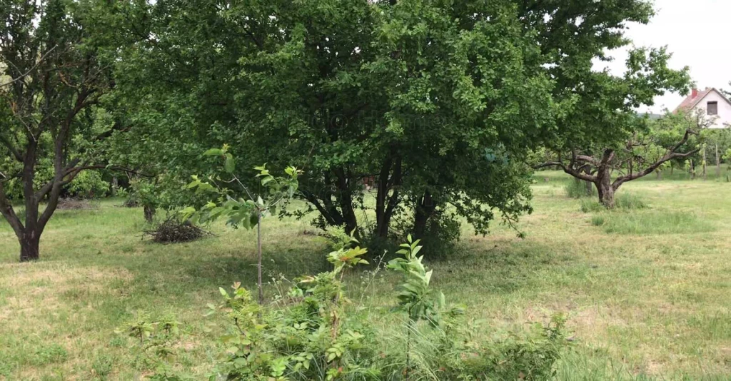 Eladó gyümölcsös zártkerti telek csodás panorámával!